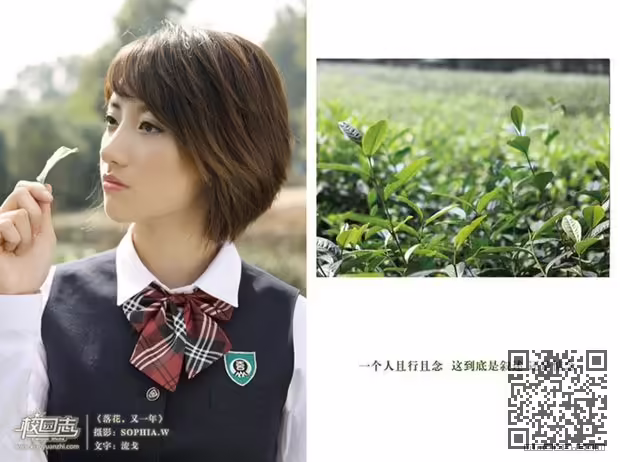 赵薇、上海大学、校花