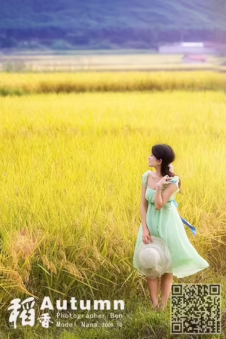 金色稻香、美女写真