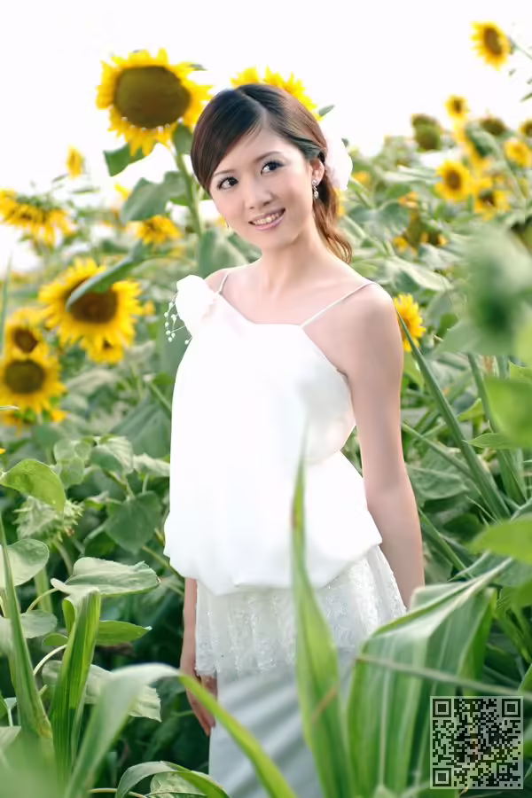 葵花、写真
