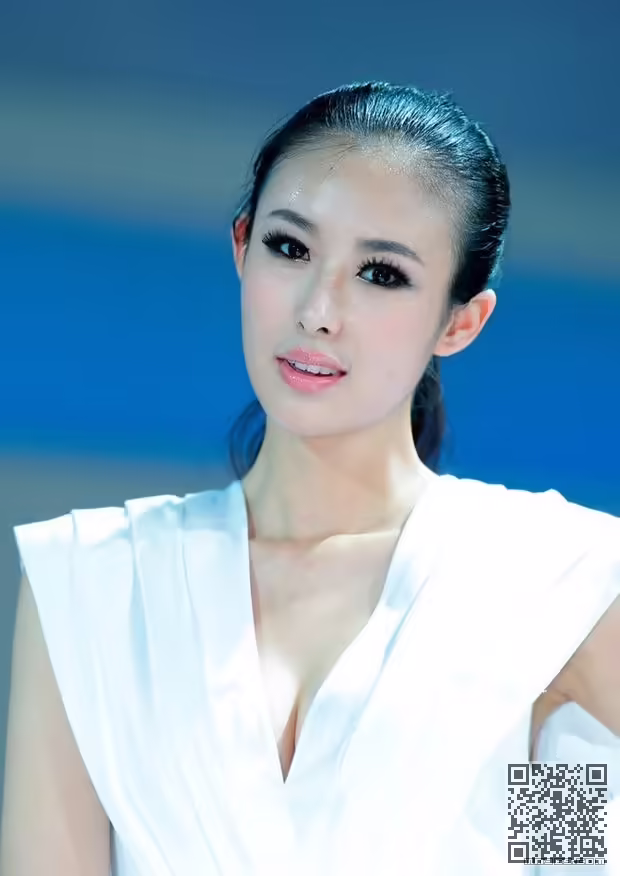 第一车模、兽兽、艳照