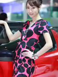 美丽的斯柯达展台模型