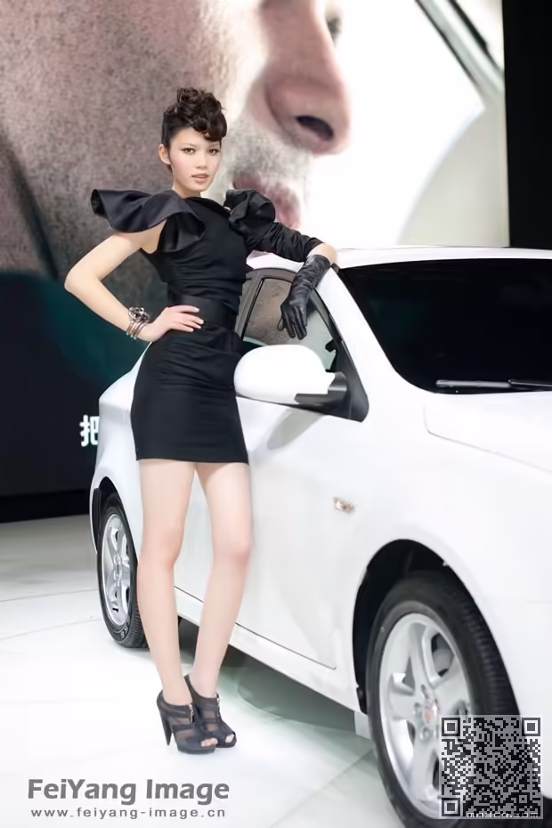北京2010、国际车展、车模