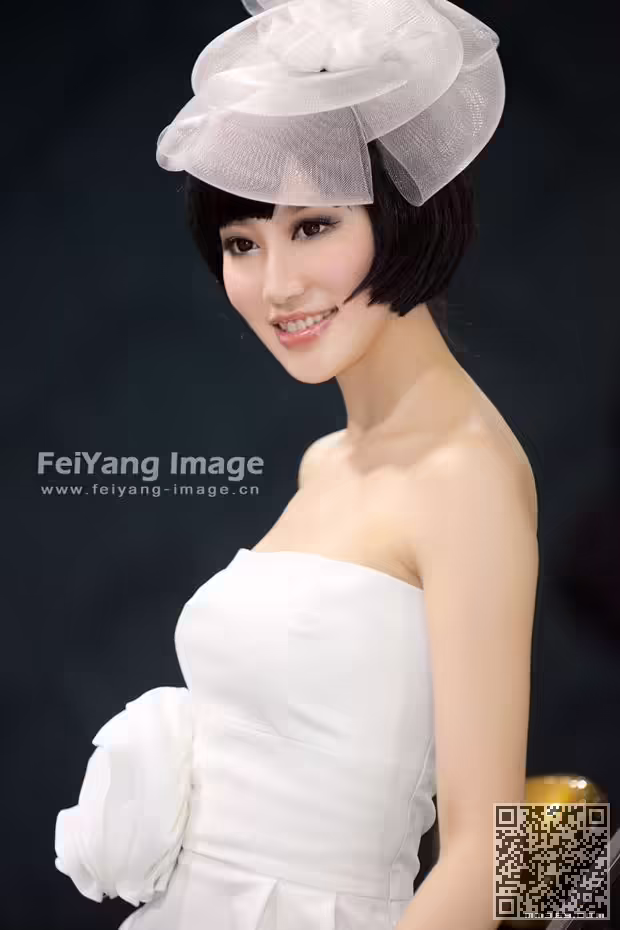北京2010、国际车展、车模