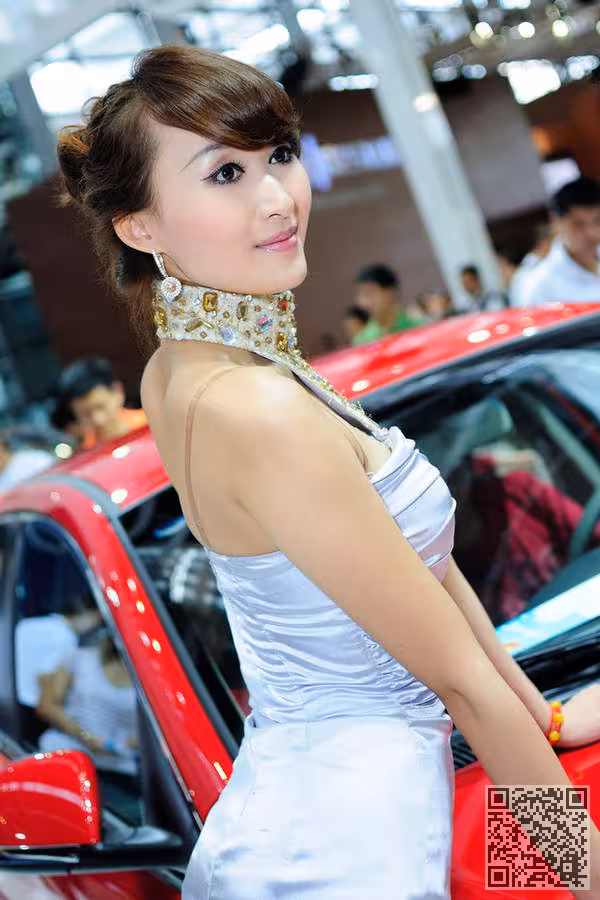 靓丽车模亮相2011北京车展套图