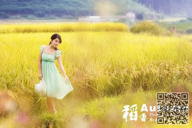 金稻香主题的美丽照片、美女写真、金色稻香