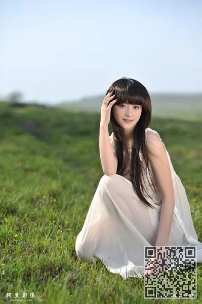 风了——春天柳树的心