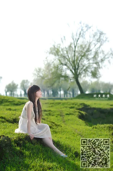 风了——春天柳树的心、佳人