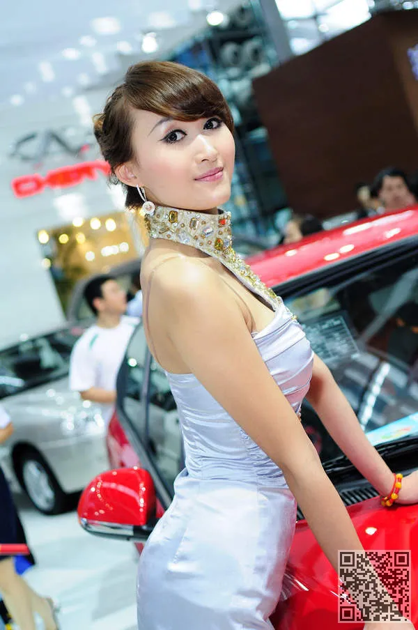 靓丽车模亮相2011北京车展套图